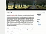 Link Building 101 - Adding Links WordPress