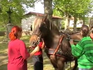 Tournée Roulottes le Départ !!!