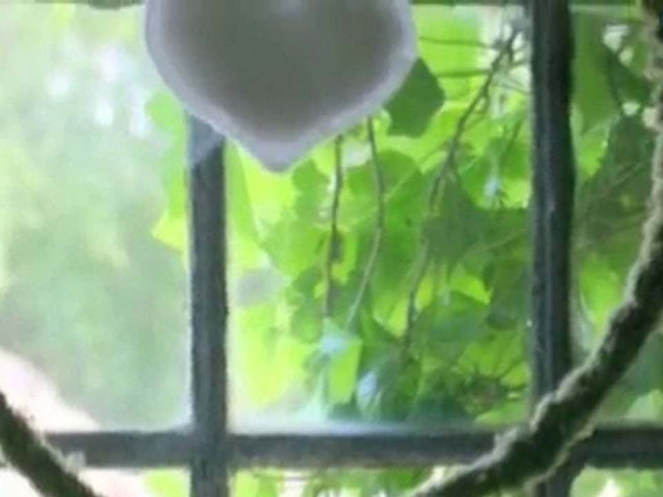 Festlokal Skåne Län Ängelholm Atelje Livsrum