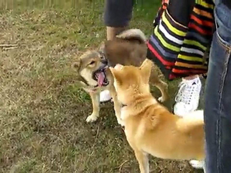 Rencontre Fuji et Fisca