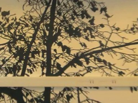 Malere Sjælland Hvidovre Drælund