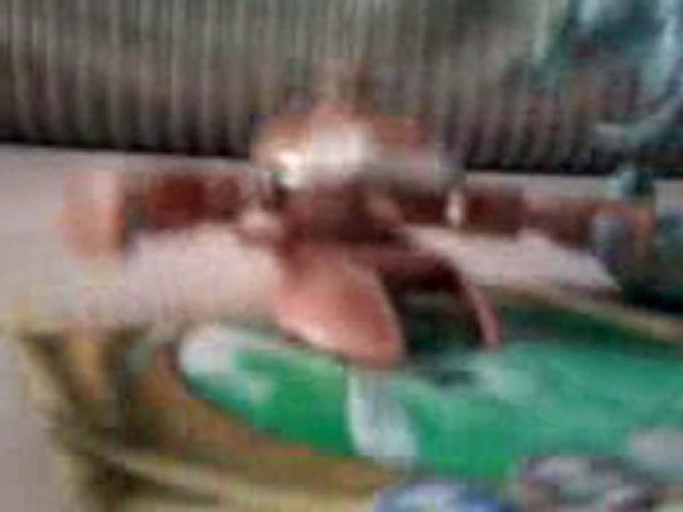 bakugan