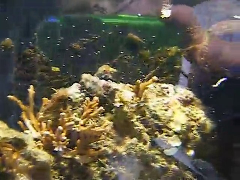 DSCF1702