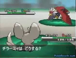 Pokemon Black & White - Video Combat n*2