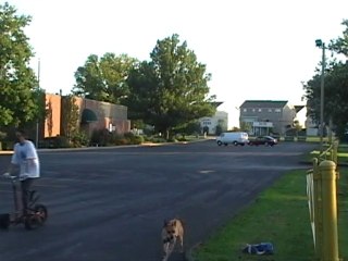 Woody Boneroni Gettin It