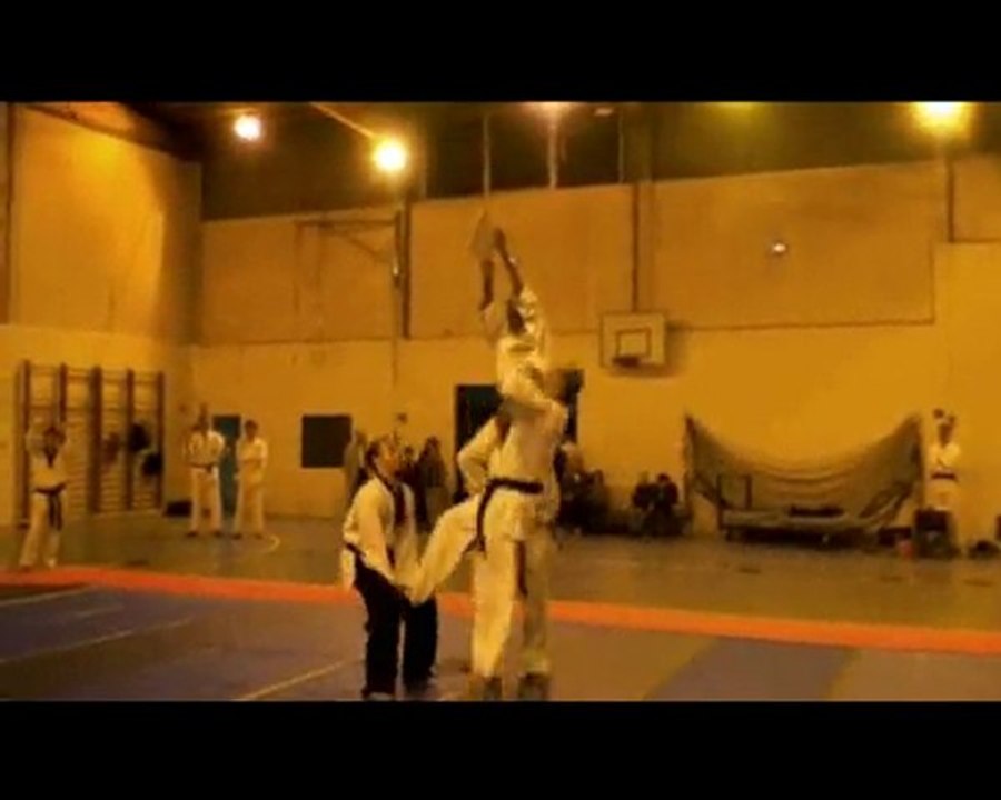 Téléthon 2009 - Taekwondo - Brie Comte Robert