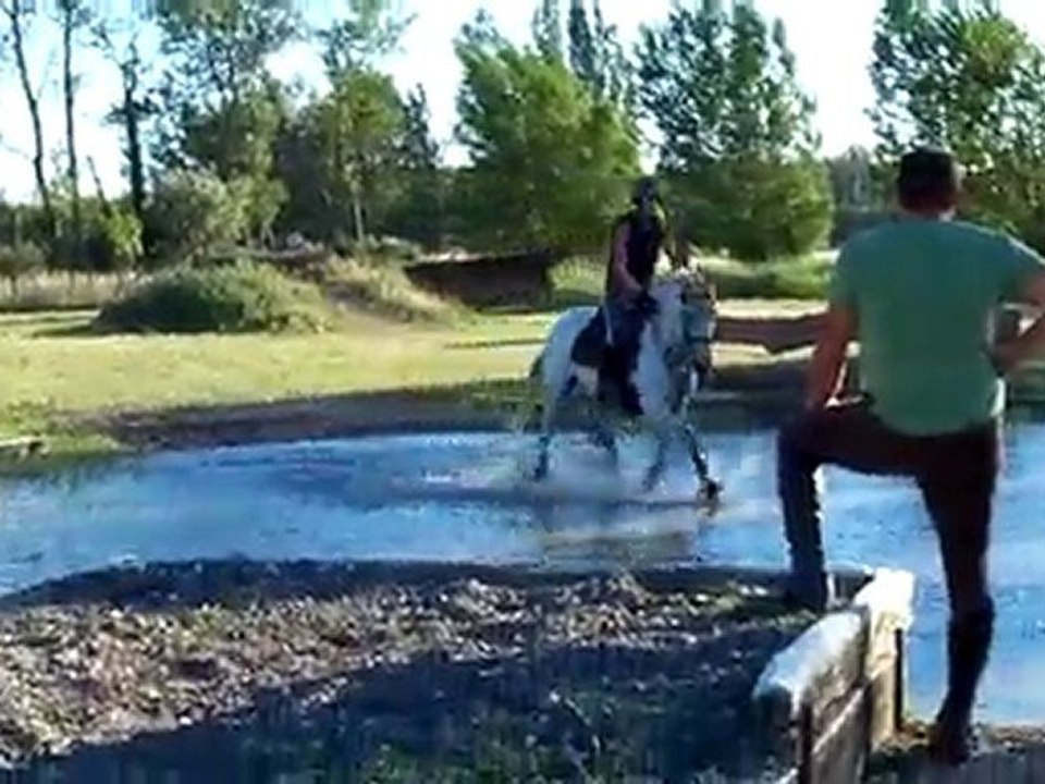 Nénuphar cross juillet 2010