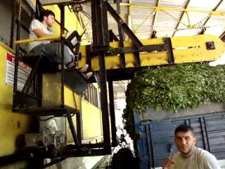 Yaş Çay Boşaltma Makinesi