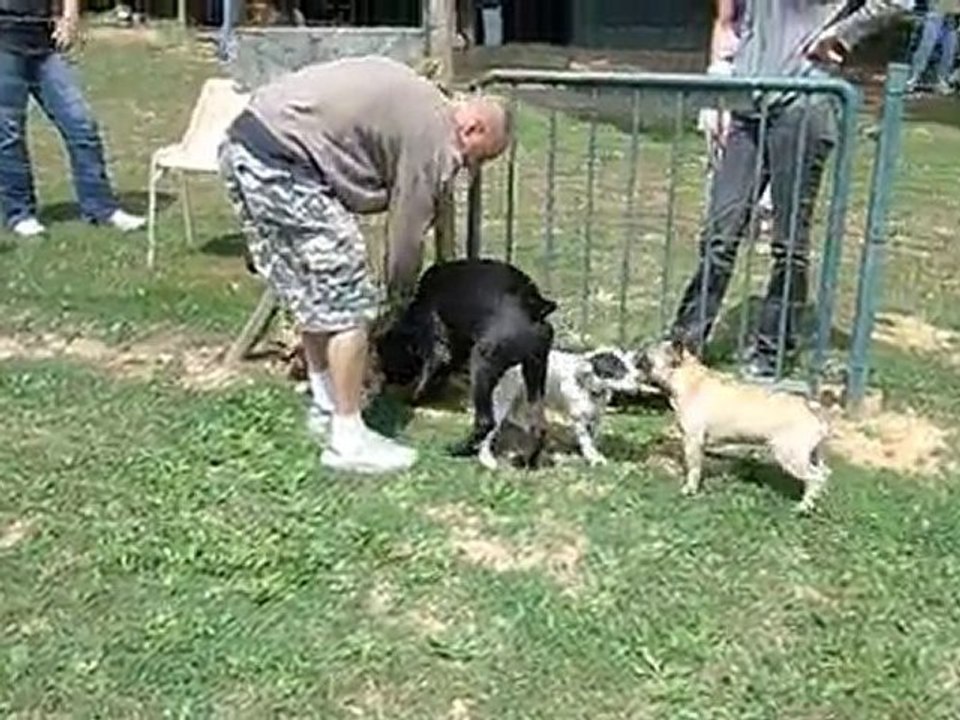 P1030182