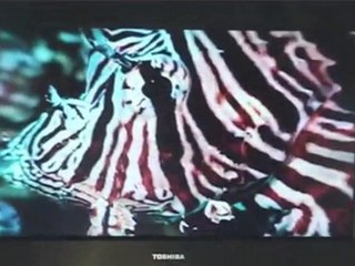 Tandlæge Midtjylland Randers C Michael Lindtoft