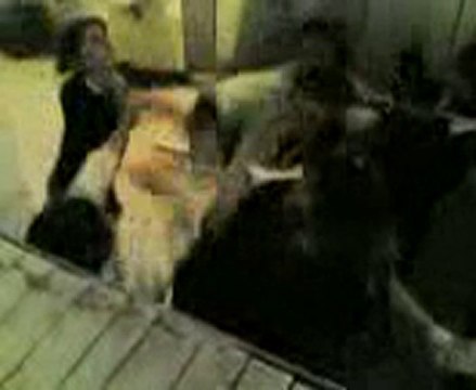 liseli kızların kavgası emere1616