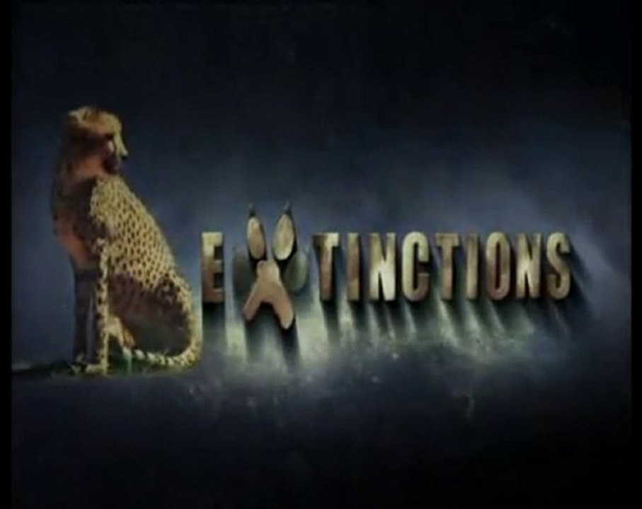 extinctions : le guepard (1)