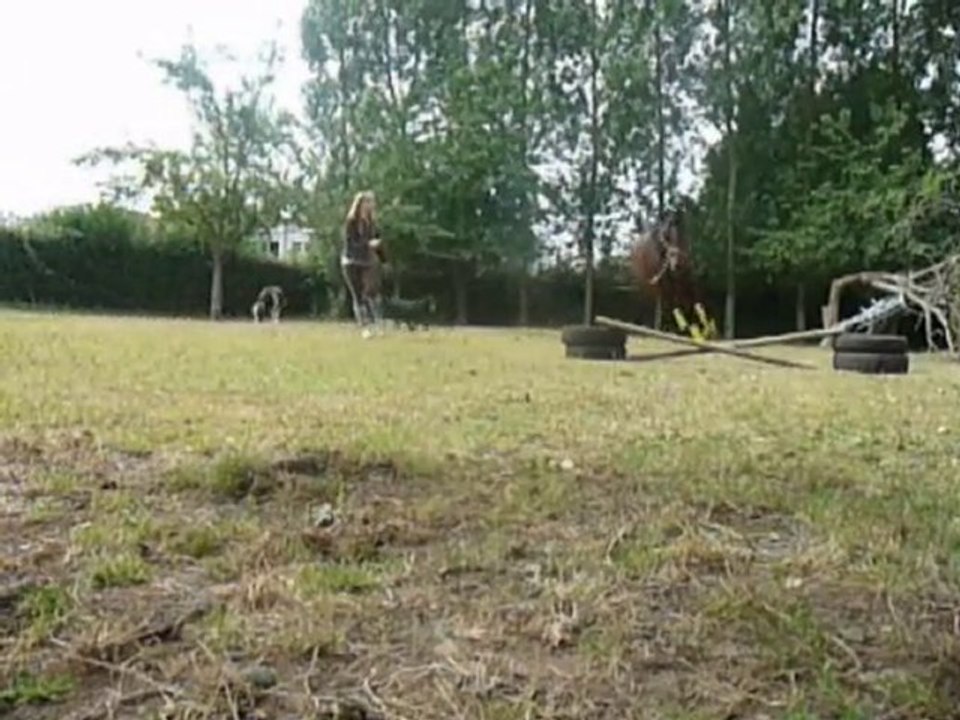 Saut Poney && Premier saut Qu'a toi ♥