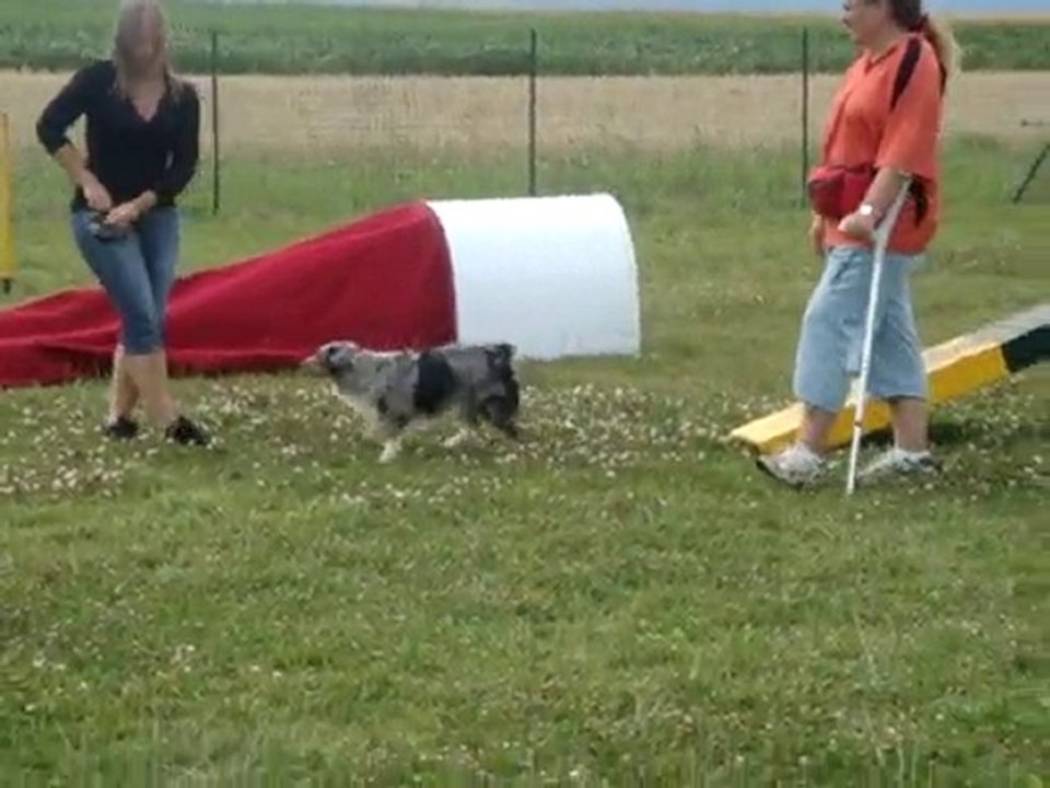 agility Cook Otahko