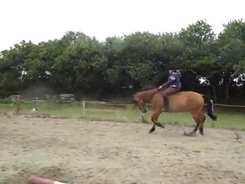 Kerlo à Cru + en licol :)