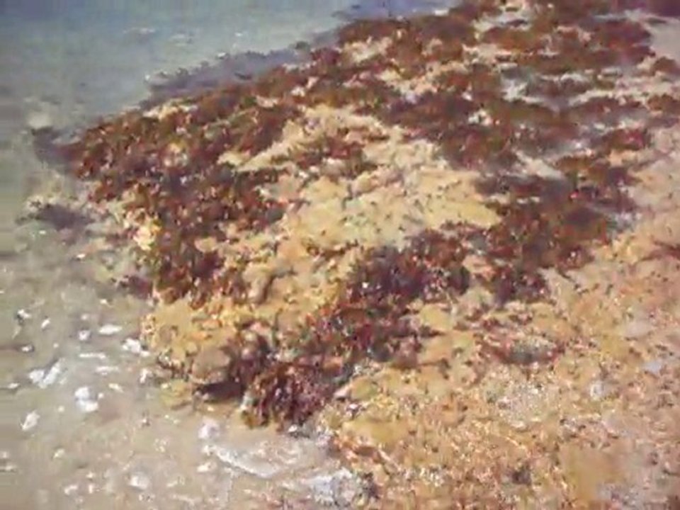 De l'eau, toujours de l'eau - Ile de Ré