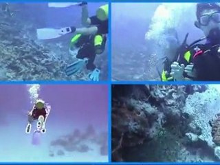 15.- DIVING LESSONS - LECCIONES DE BUCEO