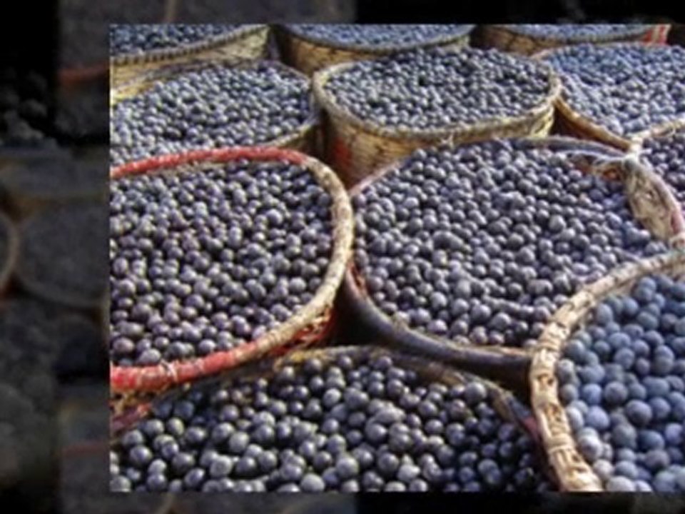 Lose That Poundage With Acai Berry Flush!