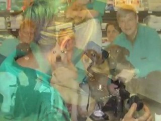 Dyrlæge Århus C Åbyhøj Åbyhøj Dyreklinik