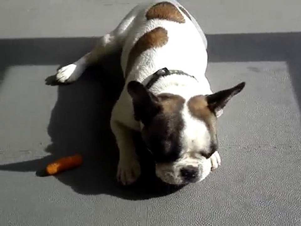 Ferdinand découvre la corotte..