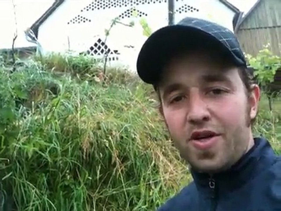 Herrenhof episode 10 - Organic weed control