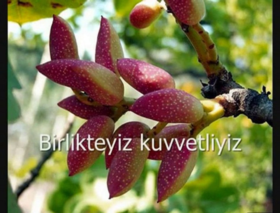 Gaziantep Marşı