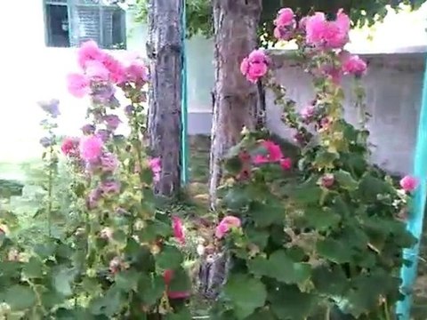 ALİŞAR KÖYÜ SORGUN YOZGAT-KÖYÜMÜZÜN CAMİİ İÇİ VE ÇEVRESİ