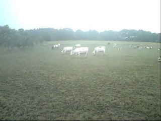 film sur Bretagne _0001