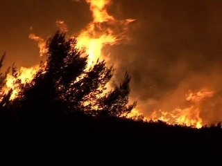 Incendie: des centaines d'hectares détruits dans le sud