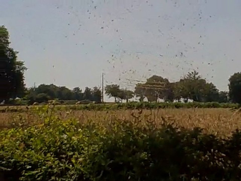 Petite tornade