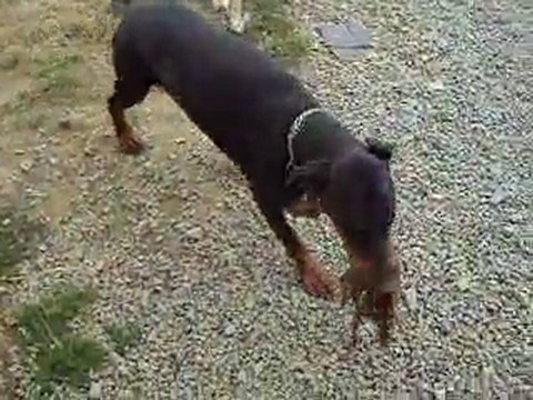 Diouck dans toute sa splendeur