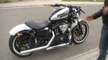 Harley Davidson Iron  pots Vance & Hines Straightshots