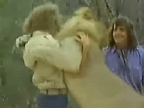 Yıllar Sonra ( Fazla Söze Gerek Yok )