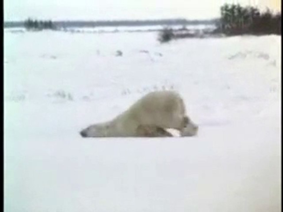 PAZARTESI VE CUMA OKULA GIDERKEN...