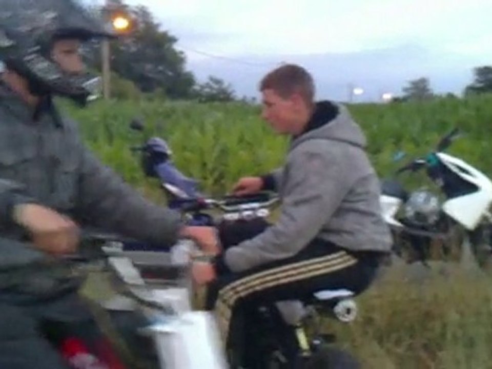 dirt 200, kx 125 pure cross