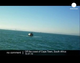A whale jumps on a boat in South Africa - no comment