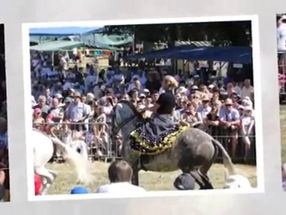 Les montures Andalouses