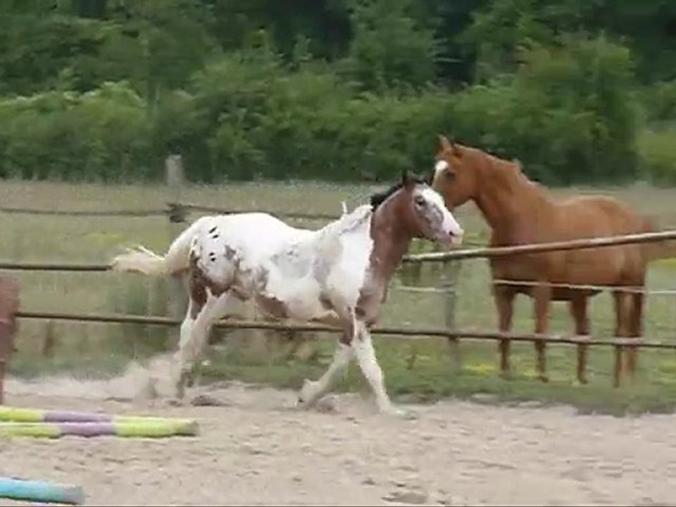 liberté Malcom 25 juillet 2010