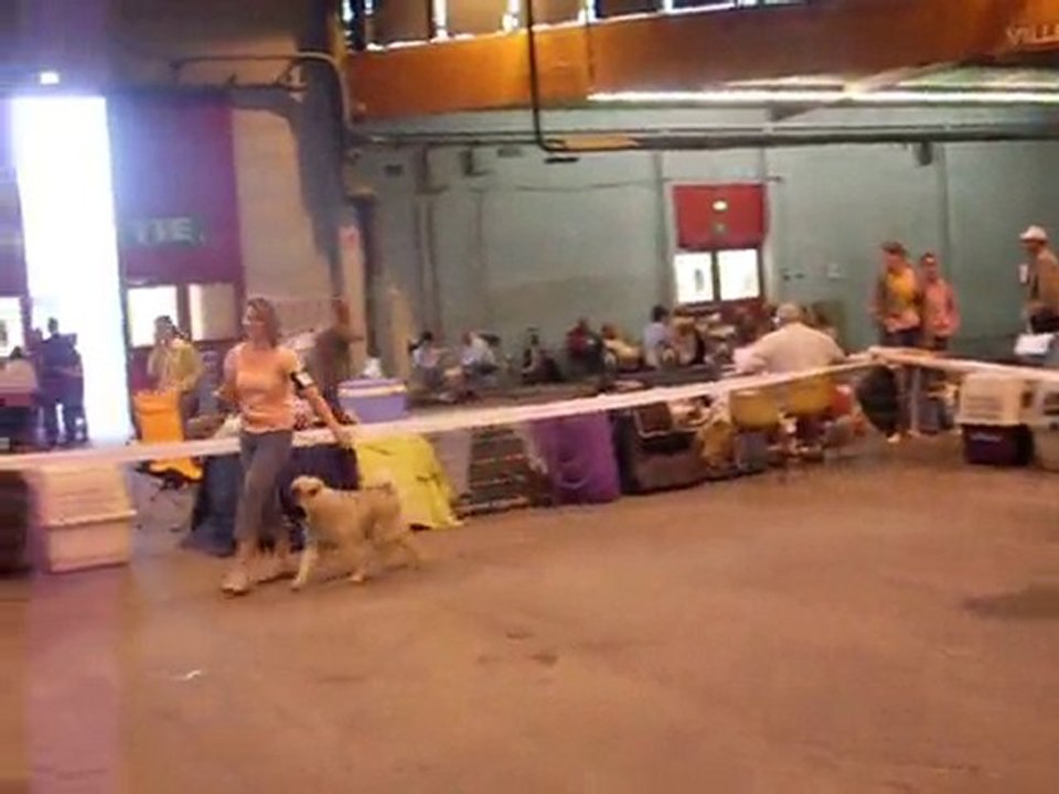 SDC13048