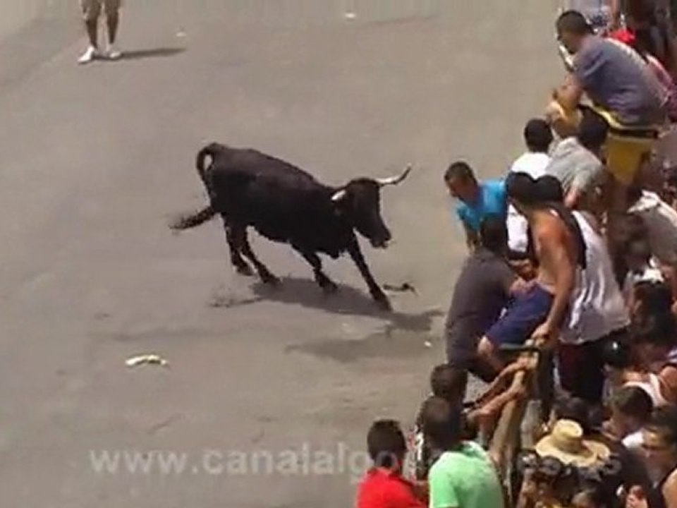 Feria 2010 - Suelta de vaquillas