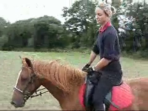 Sceance de travail avec Korrigan le 24-07-2010