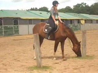 Souvenirs de Lamotte 2010 - Pink & Axelle
