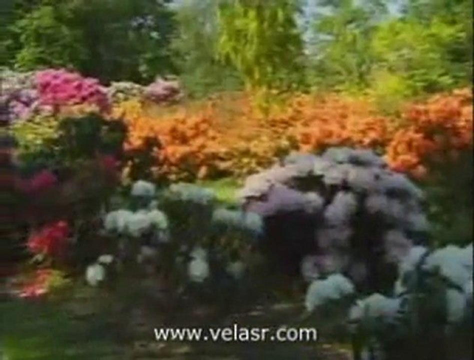 Berat Kandiliniz Mubarek Olsun / WWW.MİNELASK.COM SESLİ CHAT