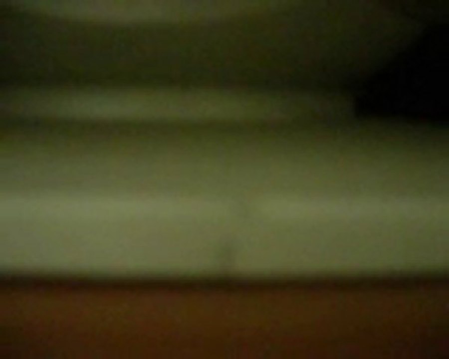 DSCN5213