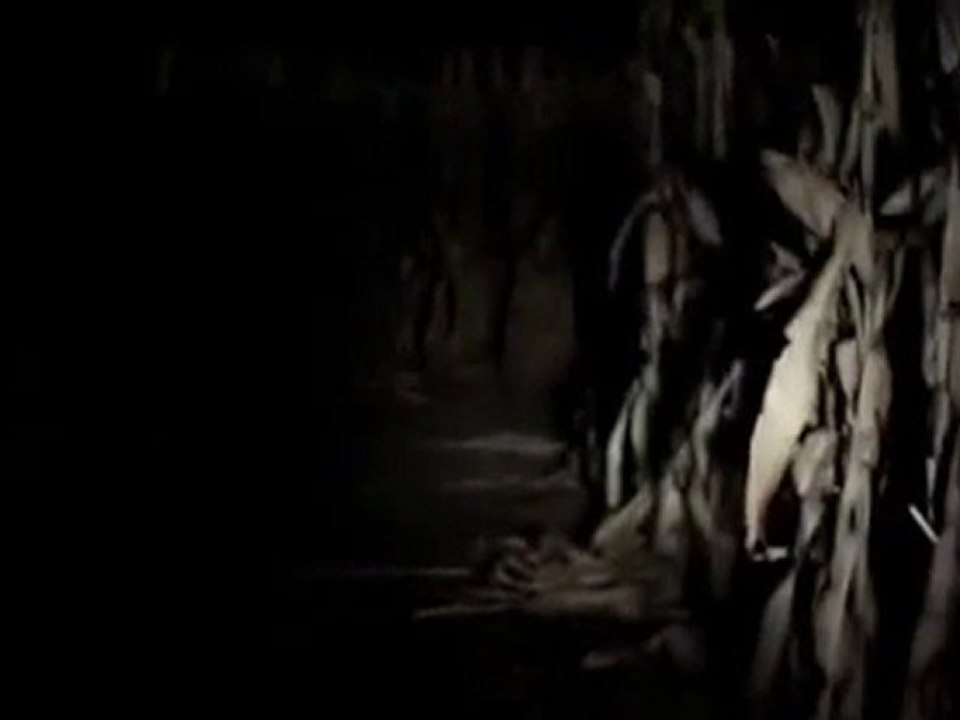The Maze - Trailer