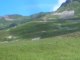 moutons à plant lachat - au pied du Galibier - Valloire