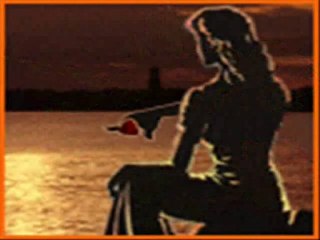 PoYRaZz---güller gibi güzelsin