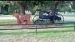 Weatherford Texas Horse Community of Silverado On The Brazos