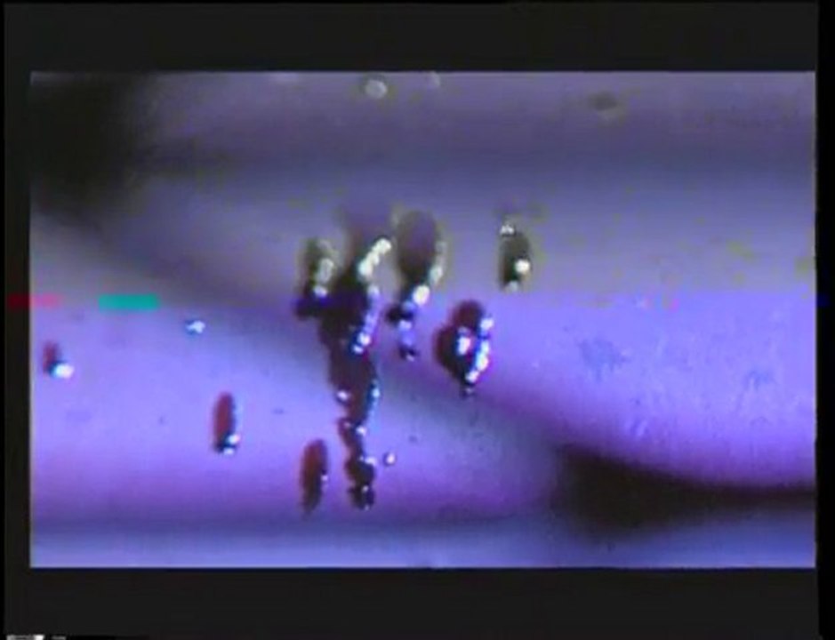 ÖTME BÜLBÜL ÖTME KLİP