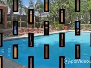 Palms on Westheimer Apartments in Houston, TX - ForRent.com